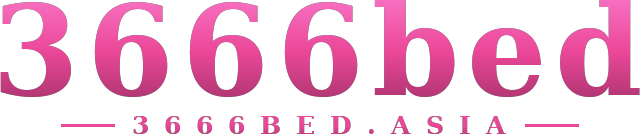 3666bed logo